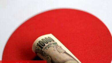 Japonya ve ABD Döviz Piyasalarında Koordinasyon Sözü Verdi