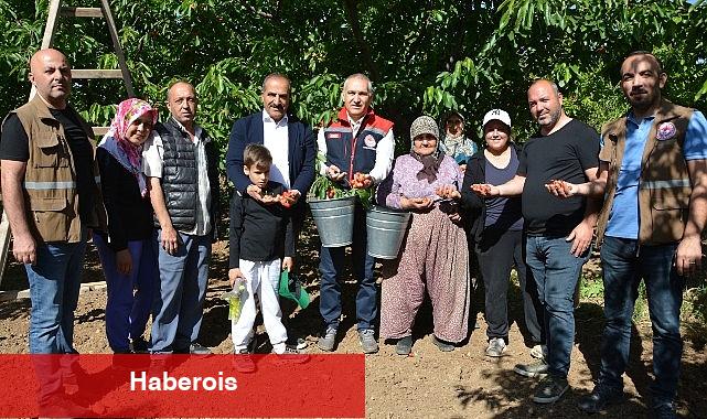 Kirazdaki ihracat hedefi 300 milyon dolara yükseldi - Haberois Kirazdaki ihracat hedefi 300 milyon dolara yükseldi