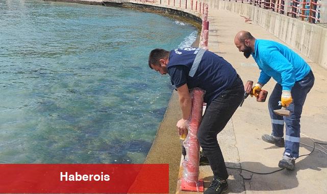Kocaelilileri bu yaz pırıl pırıl sahiller bekliyor - Haberois Kocaelilileri bu yaz pırıl pırıl sahiller bekliyor