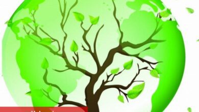 KSO Şahabettin Bilgisu Çevre Ödülleri’ne başvuru süresi uzatıldı