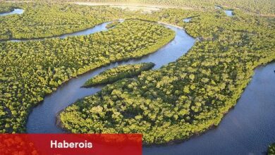 L'Oréal Türkiye, sürdürülebilir geleceği inşa etmeye devam ediyor