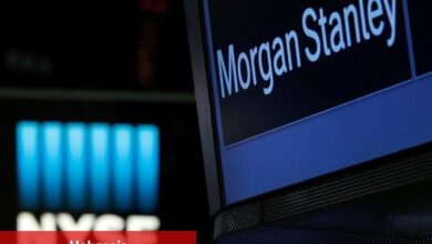 Morgan Stanley, Hisse Senetlerinin Yükselen Kazanç Aşım Oranına Tepki Vermemesinin Nedenlerini Açıkladı - Haberois Morgan Stanley, Hisse Senetlerinin Yükselen Kazanç Aşım Oranına Tepki Vermemesinin Nedenlerini Açıkladı