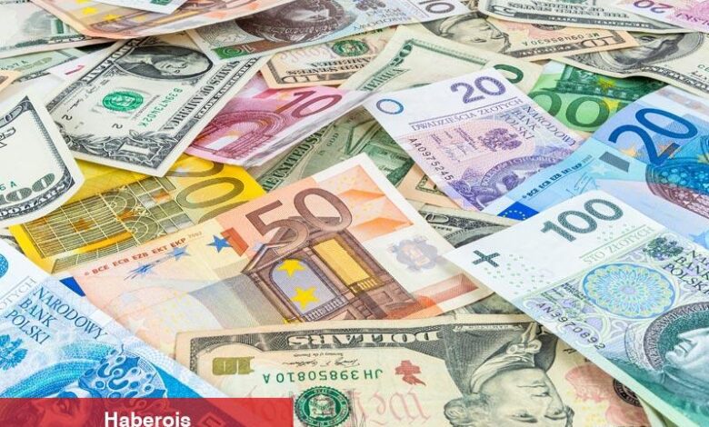 Net finansal pozisyon, 2023 yılı son çeyrekte -6,86 trilyon TL oldu - Haberois Net finansal pozisyon, 2023 yılı son çeyrekte -6,86 trilyon TL oldu