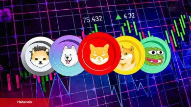 O 6 Göğüs Coin Uçuyor: Balinalar Saldırıyor!