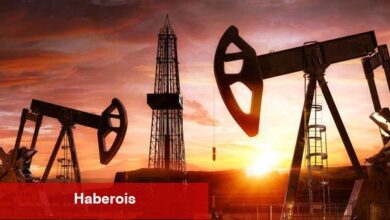 Petrol karlarını korudu