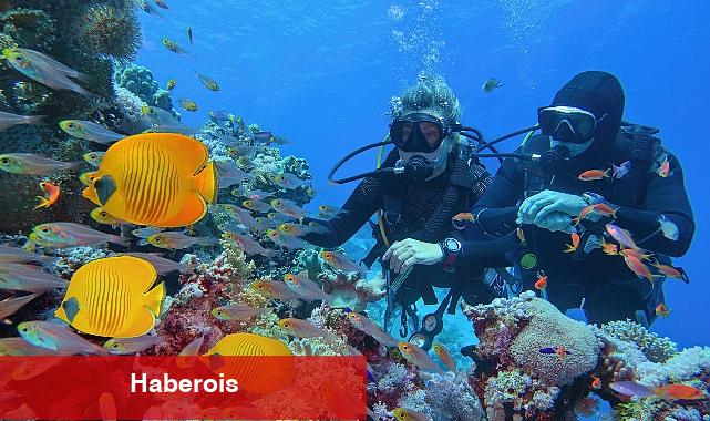 Setur, tatil severlerin Ramazan Bayramı tercihlerini açıkladı