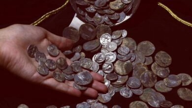 Son Haftada Türkiye’de O 10 Altcoin Araştırıldı! - Haberois Son Haftada Türkiye’de O 10 Altcoin Araştırıldı!