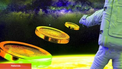 Tanınan Analist 3 Altcoin İsmi Verdi. 100X Potansiyelleri Var!