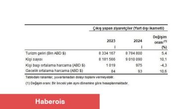 Tüik: Turizm geliri ve gideri için revizyon tamamlandı - Haberois Tüik: Turizm geliri ve gideri için revizyon tamamlandı