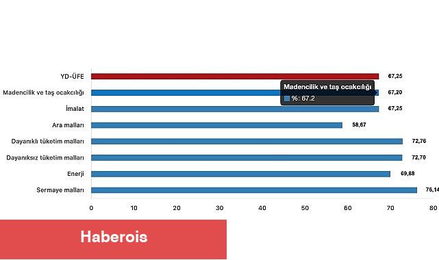 Tüik: Yurt Dışı Üretici Fiyat Endeksi (YD-ÜFE) yıllık %67,25 arttı, aylık %4,70 arttı - Haberois Tüik: Yurt Dışı Üretici Fiyat Endeksi (YD-ÜFE) yıllık %67,25 arttı, aylık %4,70 arttı