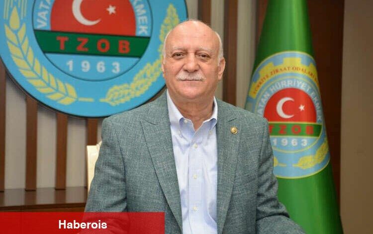 TZOB: Bu yıl da Tarım Kredi Kooperatifleri ve Türkşeker buğday alımı yapmalı - Haberois TZOB: Bu yıl da Tarım Kredi Kooperatifleri ve Türkşeker buğday alımı yapmalı