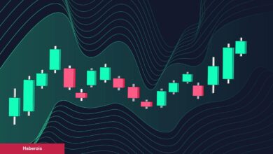 Ünlü Analist Açıkladı: Altcoin Çöküşü Alım Fırsatı mı? En Çok Hangileri Düştü?