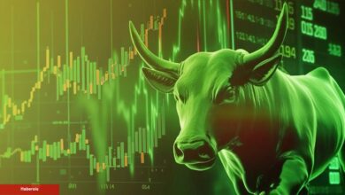 Ünlü Analist Açıkladı: Bu 5 Altcoin, Boğa Koşusunda Yükselecek!