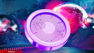 Usta Göğüs Coin Traderı: Bu Altcoin Bir Sonraki 100X Fırsatı! - Haberois Usta Göğüs Coin Traderı: Bu Altcoin Bir Sonraki 100X Fırsatı!