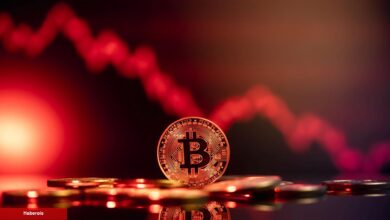 Usta İsim: Bu Tarihte Altcoinler Tabanı Görecek!