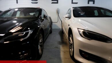 Wedbush, Tesla ve Musk'ın Belirleyici Bir Anla Karşı Karşıya Olduğunu Söylüyor