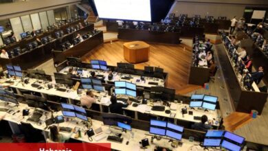 Yünsa kâr dağıtacak - Haberois Yünsa kâr dağıtacak