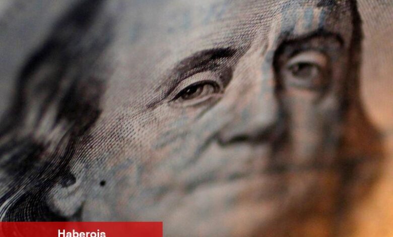 Yurt içi yerleşiklerin döviz mevduatı, 3 milyar 171 milyon dolar azaldı