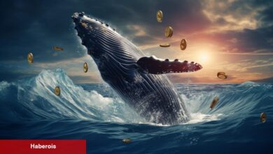 Açıklandı: Balinalar, Agresifçe PEPE Coin ve Bu 4’ünü Topluyor!