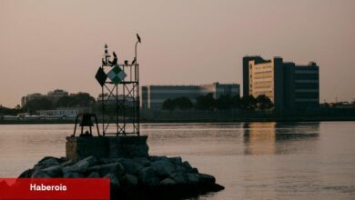 Adams, 'Profesyonellerin' Çalıştırdığı Rikers'ın Trump'a Hazır Olduğunu Söyledi - Haberois Adams, 'Profesyonellerin' Çalıştırdığı Rikers'ın Trump'a Hazır Olduğunu Söyledi