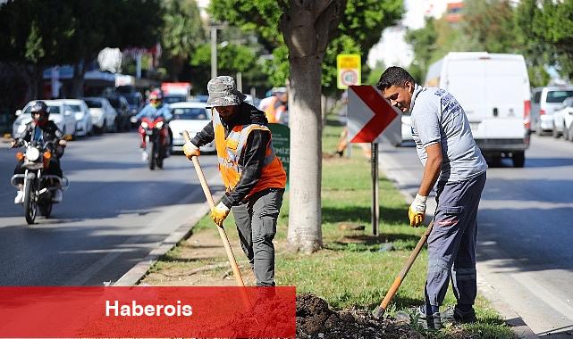 Antalya'da 2 milyon yazlık çiçek toprakla buluşuyor - Haberois Antalya'da 2 milyon yazlık çiçek toprakla buluşuyor
