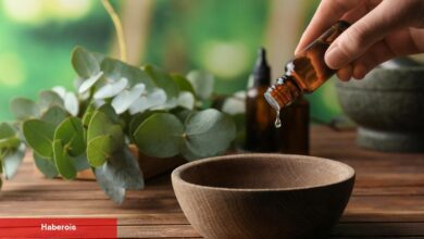 Doğal epilasyon bulunmuş! Karınca yumurtası yağı ne işe yarıyor? - Haberois Doğal epilasyon bulunmuş! Karınca yumurtası yağı ne işe yarıyor?