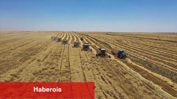 'Hasar fazlası desteği'ne ait prim düzenlemesi - Haberois 'Hasar fazlası desteği'ne ait prim düzenlemesi