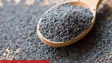 Hububat ve bakliyat ihracatı 4 ayda 4 milyar dolara ulaştı - Haberois Hububat ve bakliyat ihracatı 4 ayda 4 milyar dolara ulaştı