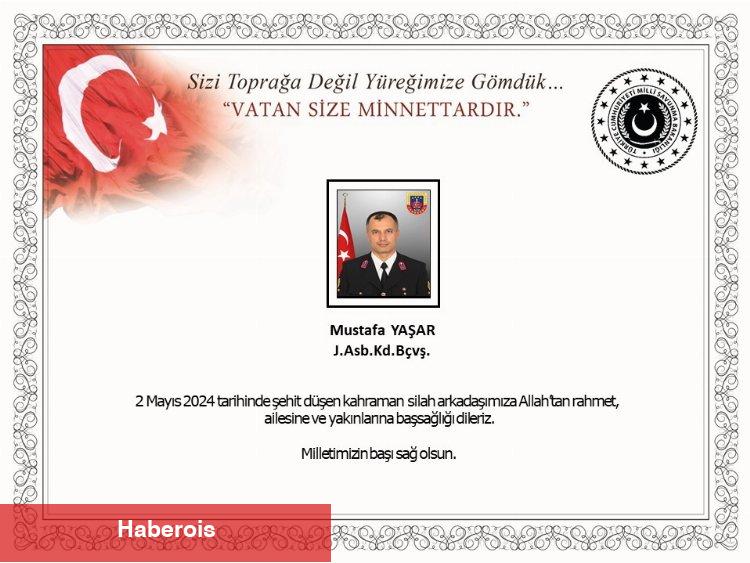 Kavgaya müdahalede yaralanmıştı... Acı haber geldi - Haberois Kavgaya müdahalede yaralanmıştı... Acı haber geldi