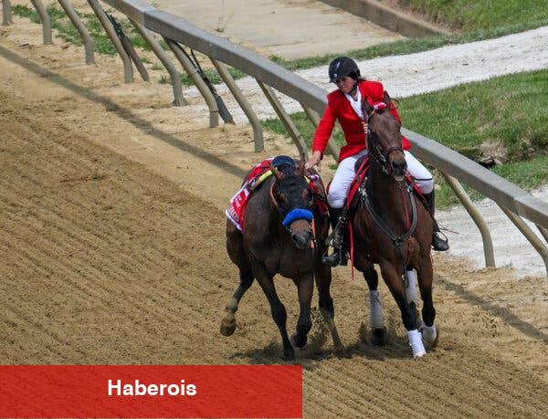 Kentucky Derbisi Yaklaşırken Geçen Yıldaki Ölümler Gölgede Bıraktı - Haberois Kentucky Derbisi Yaklaşırken Geçen Yıldaki Ölümler Gölgede Bıraktı