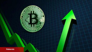 Kurumsallardan ve Balinalardan Bitcoin Akını: Kapış Kapış Alıyorlar!