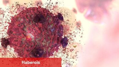 Lösemi Hakkında Bilinmesi Gereken 8 Önemli Nokta