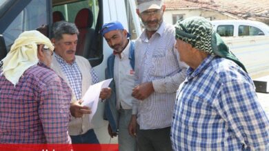 Manisa'da kiraz üreticisine destek - Haberois Manisa'da kiraz üreticisine destek