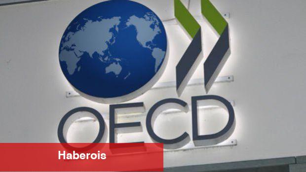 OECD Türkiye’nin 2024 büyüme iddiasını yükseltti - Haberois OECD Türkiye’nin 2024 büyüme iddiasını yükseltti