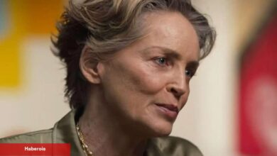 Sharon Stone'un Kurtlar Vadisi açıklaması ortalığı karıştırdı! Bahadır Özdener sessiz kalmadı