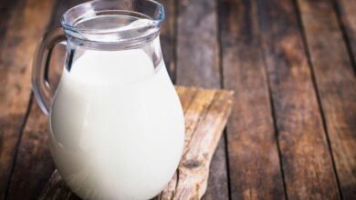 Sindirimi destekleyen lezzet: Laktozsuz süt