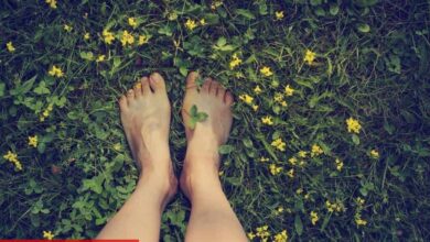 Topraklama antrenmanları: Zihin ve vücut istikrarı - Haberois Topraklama antrenmanları: Zihin ve vücut istikrarı