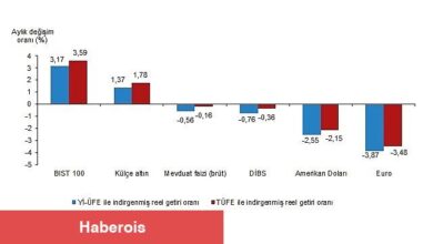 Tüik: Aylık en yüksek reel getiri BIST 100 endeksinde oldu