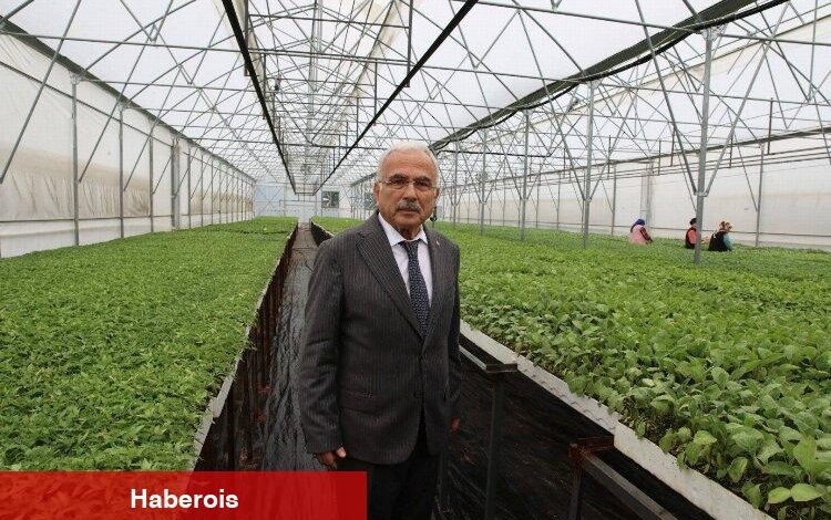 Üreticilere 4 milyon liralık fide