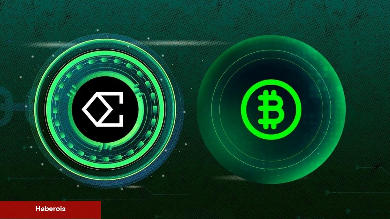 Usta Analistten BTC, SOL ve ENA Coin Kestirimleri: Bekleyin!