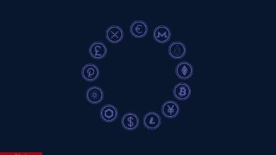 Yarın, O 18 Altcoin İçin Dikkat: İşte Olacakların Listesi!