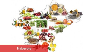 Yaş meyve sebze ve mamul ihracatı 4 ayda 2 milyar doları aştı - Haberois Yaş meyve sebze ve mamul ihracatı 4 ayda 2 milyar doları aştı