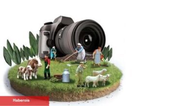 14. Uluslararası Tarım, Orman ve İnsan Fotoğraf Yarışması'na başvurularda son günler