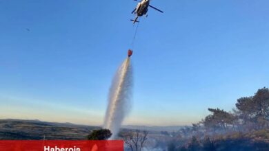 17 İlde Orman Arazileri Orman Vasfından Çıkarıldı! - Haberois 17 İlde Orman Arazileri Orman Vasfından Çıkarıldı!