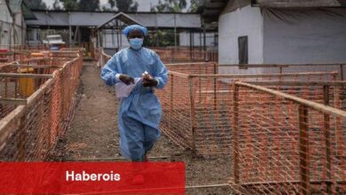 Asya'da birinci maymun çiçeği olayı - Haberois Asya'da birinci maymun çiçeği olayı