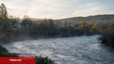 Barajlar Kaldırılınca Somonlar Batı Nehrinde Akın Edecek