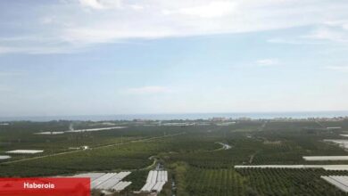 Başkan Geyikçi: "Böyle devam ederse sofraya koyacak ürün bulamayacağız" - Haberois Başkan Geyikçi: "Böyle devam ederse sofraya koyacak ürün bulamayacağız"