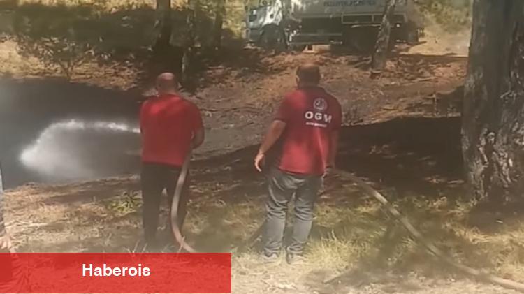 Bilecik'teki orman yangını korkuttu