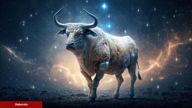 Bitcoin ve Altcoinler için Boğa Başlıyor mu? Ustalar Açıklıyor!