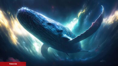 Bu 3 Altcoin, Geçen Hafta Kripto Balinalarının Çantasını Doldurdu! - Haberois Bu 3 Altcoin, Geçen Hafta Kripto Balinalarının Çantasını Doldurdu!